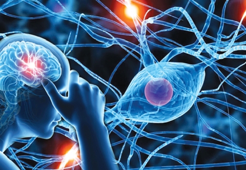 Người béo phì và tình trạng rối loạn thần kinh thực vật